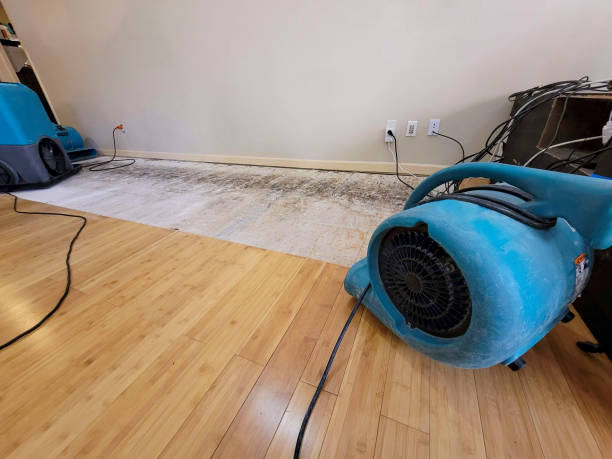 Professional Water Extraction technician working in Cardiff By The Sea, CA